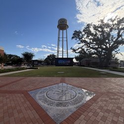 Katy Rice Festival