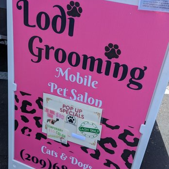 Lodi Grooming - Pet Groomers Near Me - Woodbridge, California Lodi Grooming - Pet Groomers Near Me - Woodbridge, California