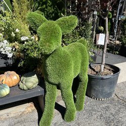 Jeannine Home Furnishings - Outside