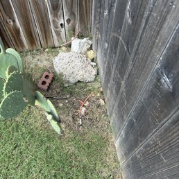 Spectrums top notch internet line installation for 3 years now.