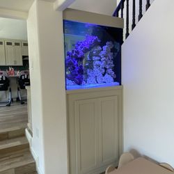 Get Tanked Aquariums
