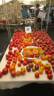 Chico Certified Farmers Market by null