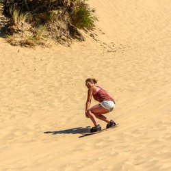 Third Coast Paddling - Warren Dunes State Park - Third Coast Paddling has rental sandboards and sand sleds available to ride the dunes at Warren Dunes State Park in Michigan.