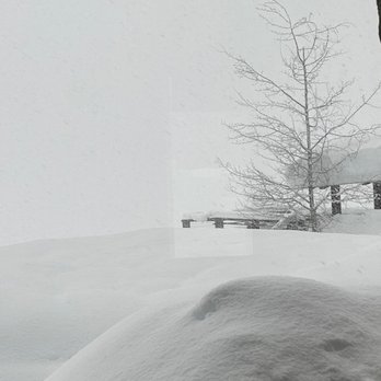 Highlands Ranch Resort - Out our window! Snow covered awe! - Resorts Near Me - Mill Creek, California