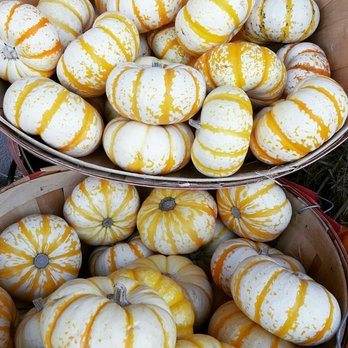 Trader Joe's - Tiger stripes pumpkins - Grocery Near Me - Danville, California Trader Joe's - Tiger stripes pumpkins - Grocery Near Me - Danville, California