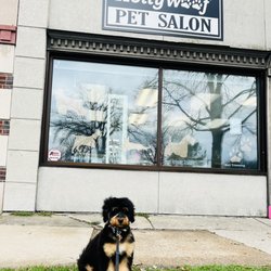 HollyWoof Pet Salon - Grosse Pointe Location