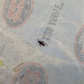 Jersey Mike's Subs - Sandwiches Near Me - Syracuse, Utah Jersey Mike's Subs - Sandwiches Near Me - Syracuse, Utah