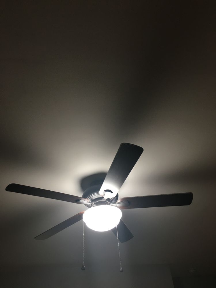 Slide of My Handy Leo