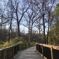 Riparian Trail