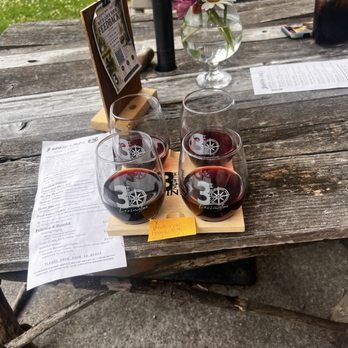 3 North Vines - Wine Tasting Room Near Me - Croswell, Michigan