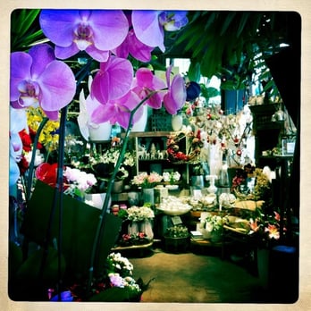 Divine Flowers - Florists Near Me - Brisbane, QLD