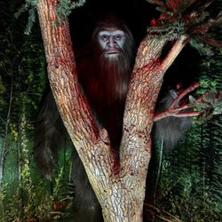 Bigfoot Enterprises