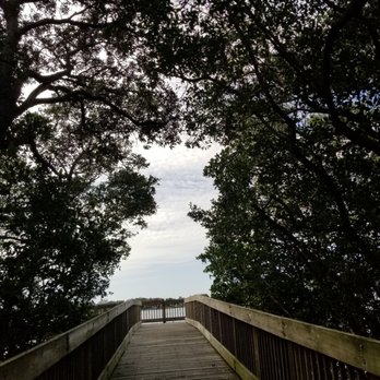 Wall Springs Park - Another fishing pier - Parks Near Me - Palm Harbor, Florida Wall Springs Park - Another fishing pier - Parks Near Me - Palm Harbor, Florida
