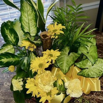 Pat's Florist - Planter dish with added fresh flowers - Florists Near Me - Richmond, Virginia Pat's Florist - Planter dish with added fresh flowers - Florists Near Me - Richmond, Virginia