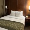 Comfort Inn Trolley Square gift card