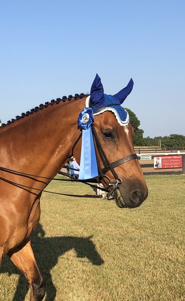 HORSE POWER RANCH 11 Photos 301 Ernest Johnson Rd, Wagener, South