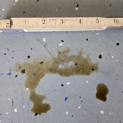 SoCal Auto Motors - Oil leak - Day 3