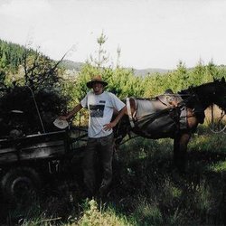 Limbwalker Tree Care