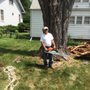 Photo of Mercer Tree Care