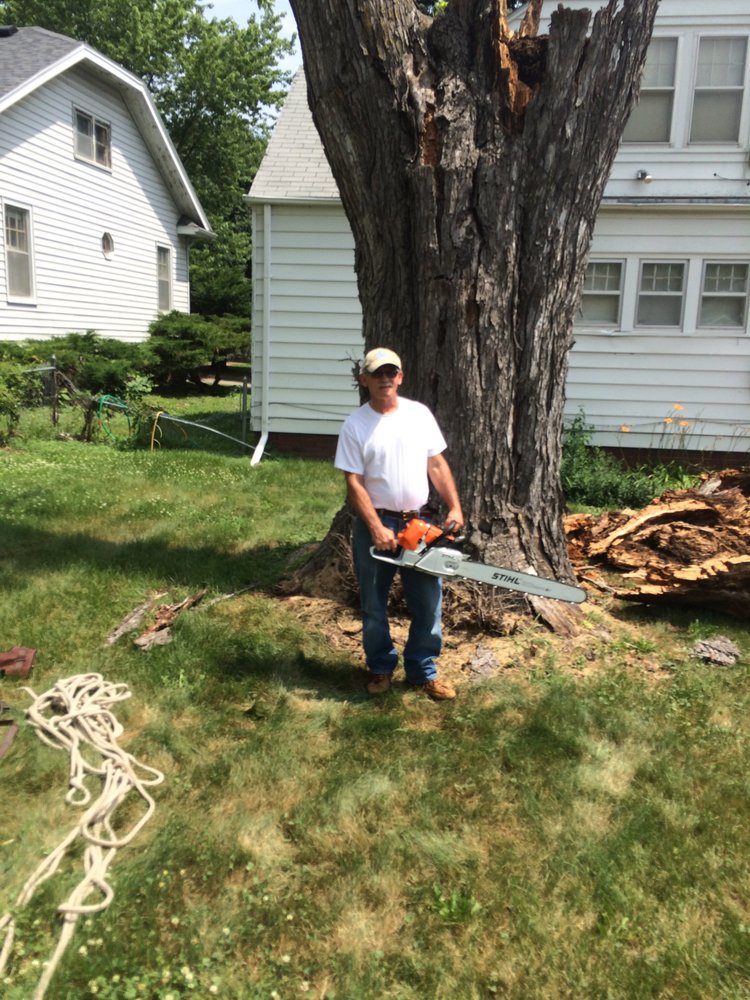 Mercer Tree Care - tree service in Omaha, NE