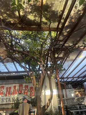 Heart & Dagger Saloon by null