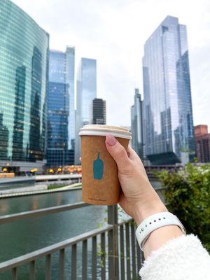 Blue Bottle Coffee by null