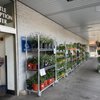 King Kullen Grocery gift card
