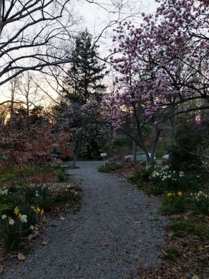 Civic Garden Center of Greater Cincinnati by null