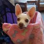 Photo of Standish Denture Center