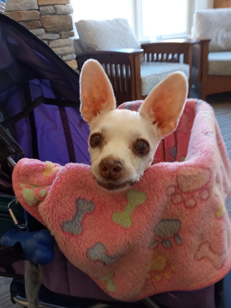 STANDISH DENTURE CENTER Updated September 2024 7 Gretchen Ln