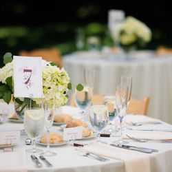 Without A Hitch - Allison helped make sure our centerpieces, placecards and table numbers all went down perfectly!