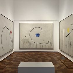 Fundació Joan Miró, Barcelona - "The Hope of a Condemned Man"