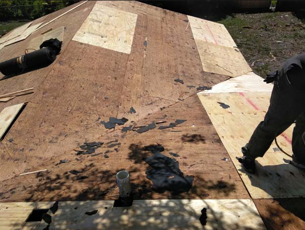 Slide of Sealy Trinbago