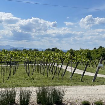 Marked Tree Vineyard - Wineries Near Me - Flat Rock, North Carolina Marked Tree Vineyard - Wineries Near Me - Flat Rock, North Carolina