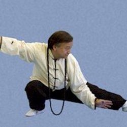 Wing Chun USA - Master Randy K. Li Taiji/Tai Chi