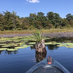 Seminole State Park - Quiet spot away from noaters
