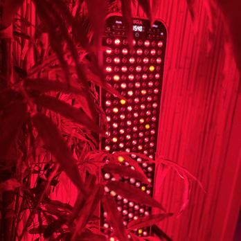 LiveColder Recovery - Red Light Therapy - Cryotherapy Near Me - Scottsdale, Arizona LiveColder Recovery - Red Light Therapy - Cryotherapy Near Me - Scottsdale, Arizona