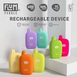 The Vapor Room - Flum Pebble disposable vape
