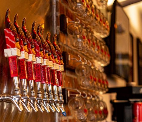 Platypus Brewing by null
