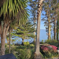Monarch Cove Inn
