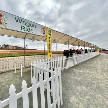The Flower Fields - Tractor wagon rides are a great way to tour the site. - Venues & Event Spaces Near Me - Carlsbad, California The Flower Fields - Tractor wagon rides are a great way to tour the site. - Venues & Event Spaces Near Me - Carlsbad, California