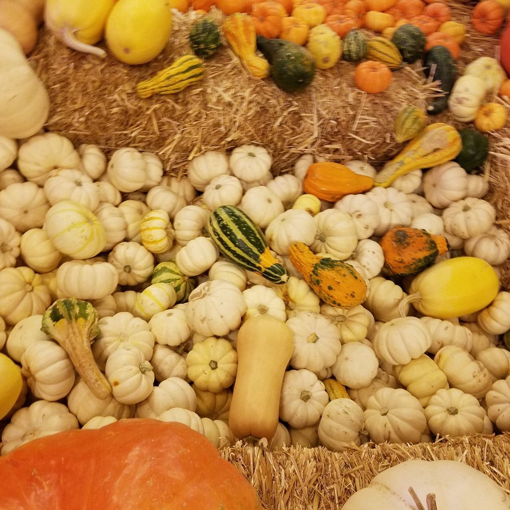 Planet Pumpkin - Pumpkin Patches Near Me - Fresno, California Planet Pumpkin - Pumpkin Patches Near Me - Fresno, California