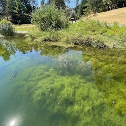 Shannon Lake Regional Park