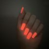 World Nails gift card