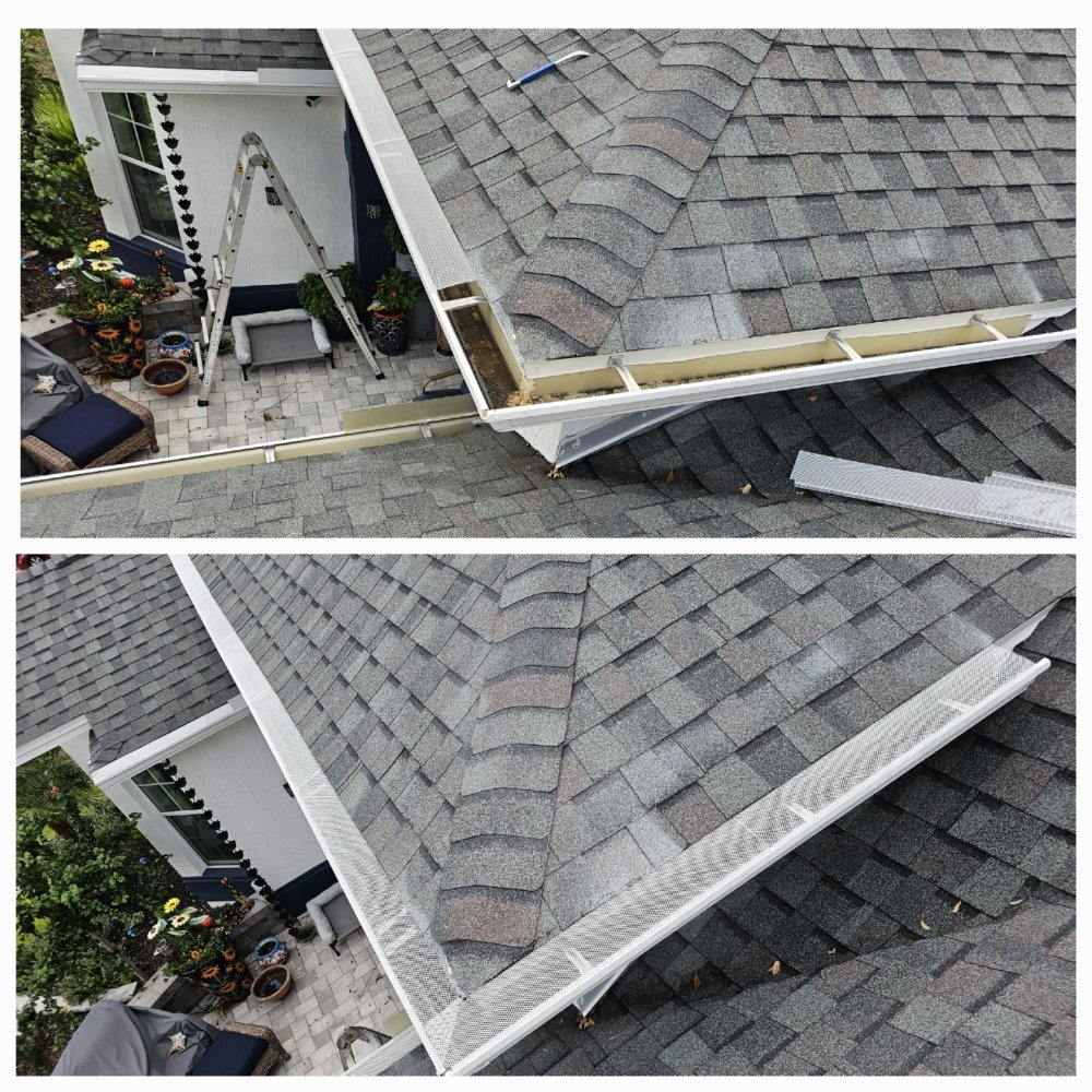 Slide of The Worker Bee