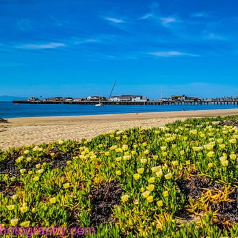 Santa Barbara Trolley - Gorgeous shoreline - Wine Tours Near Me - Santa Barbara, California Santa Barbara Trolley - Gorgeous shoreline - Wine Tours Near Me - Santa Barbara, California