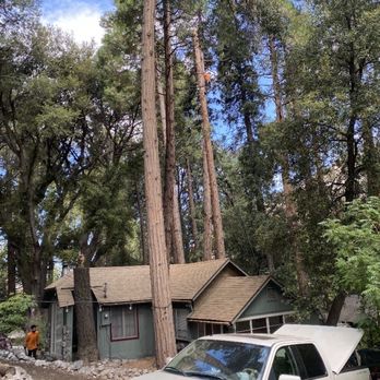 Efrain Tree Services - Tree Services Near Me
