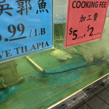 New Asia Market - Tilapia is real! - Seafood Markets Near Me - Stallings, North Carolina New Asia Market - Tilapia is real! - Seafood Markets Near Me - Stallings, North Carolina