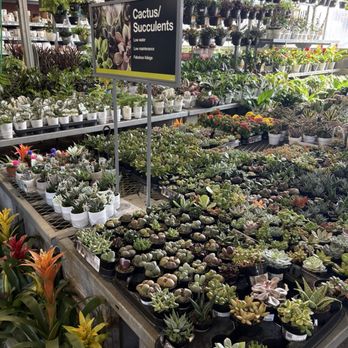 The Home Depot - Choices - Hardware Stores Near Me - Nashville, Tennessee The Home Depot - Choices - Hardware Stores Near Me - Nashville, Tennessee