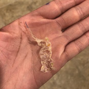 30 Burgers - Plastic stuck in my food - Burgers Near Me - Linden, New Jersey 30 Burgers - Plastic stuck in my food - Burgers Near Me - Linden, New Jersey